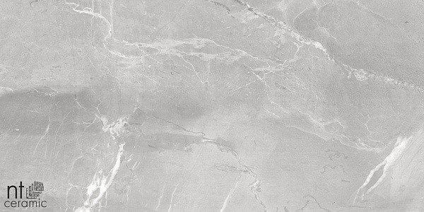 Керамогранит NT Ceramic Quarta Grey Slate Grey 60x120