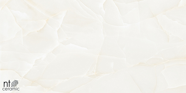 Керамогранит NT Ceramic Onyx Predo 60x120