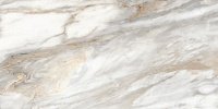 Плитка Alma Ceramica Euphoria TWU2550EPH74 матовая 249x500