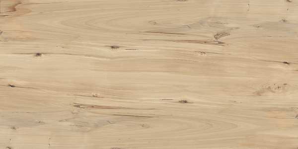 Керамогранит Buono Ceramica Forest Sweet Home matt 60x120