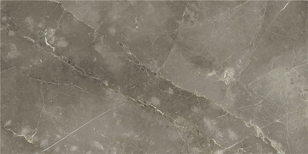 Керамогранит Italon Stellaris Tuscania Grey натуральный 60x120
