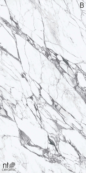 Керамогранит NT Ceramic Atlas Home Calaсatta Rock 120x270