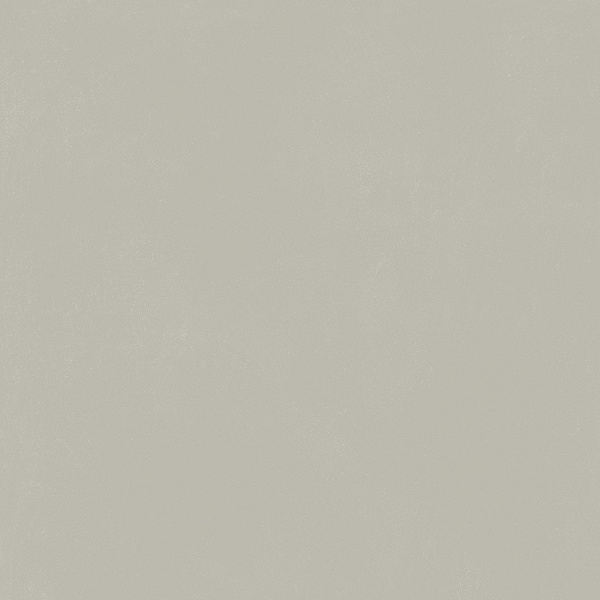 Керамогранит Италон Форум Слим Сильвер 80x80