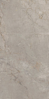 Керамогранит Keope Ceramiche Elements Lux Silver Grey 60x120Nat