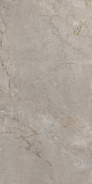 Керамогранит Keope Ceramiche Elements Lux Silver Grey 60x120Nat