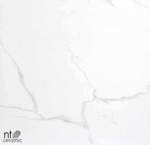 Керамогранит NT Ceramic Marmori NTT9402 60x60