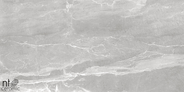 Керамогранит NT Ceramic Quarta Grey Slate Grey 60x120
