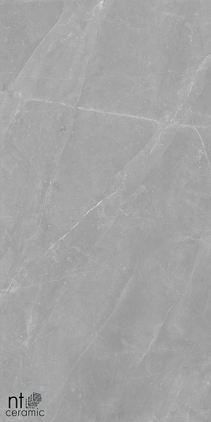 Керамогранит NT Ceramic Granite Limestone Grey Structura 60x120