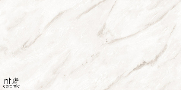 Керамогранит NT Ceramic Marmo Empire Pearl Endless 60x120