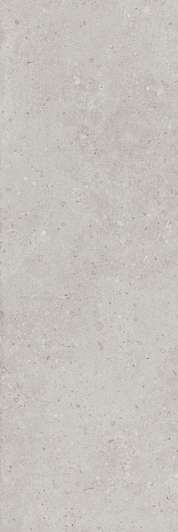 Плитка Kerama Marazzi Риккарди серый светлый матовый обрезной 400x1200