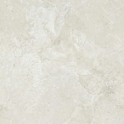 Керамогранит Dako Legend E-5000 60x60