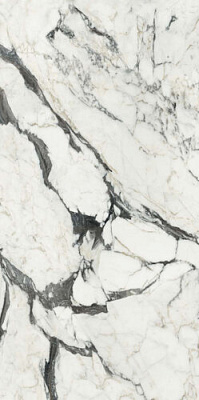 Керамогранит Rex Bijoux Calac Altissimo Glossy 60x120 Ret