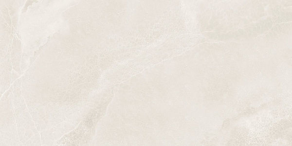 Керамогранит NT Ceramic Riverstone Onyx History Digital Satin 60x120
