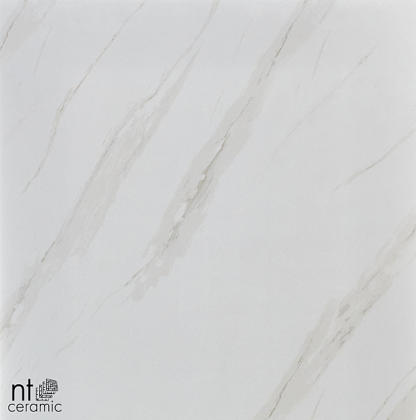 Керамогранит NT Ceramic Marmori NTT9401 60x60