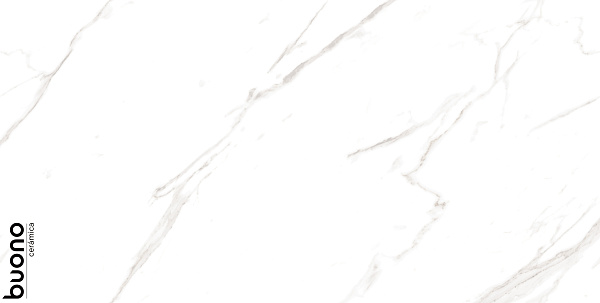 Керамогранит Buono Ceramica Marble Carrara Livia glossy 60x120
