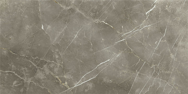 Керамогранит Italon Stellaris Tuscania Grey натуральный 80x160