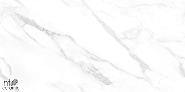 Керамогранит NT Ceramic Marmo Statuario Endless 60x120