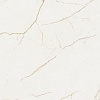 Керамогранит Atlas Concorde Forte Dei Marmi Quark Sahara Blanc matt 120x120