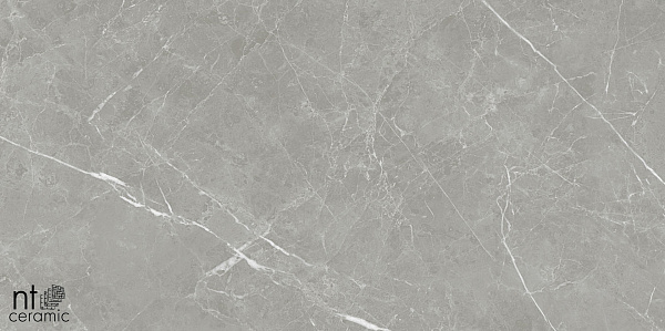 Керамогранит NT Ceramic Pietra NTT1102 60x60