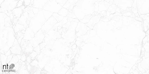 Керамогранит NT Ceramic Marmo Impero carving 60x60