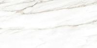 Плитка Alma Ceramica Euphoria TWU2550EPH04 матовая 249x500