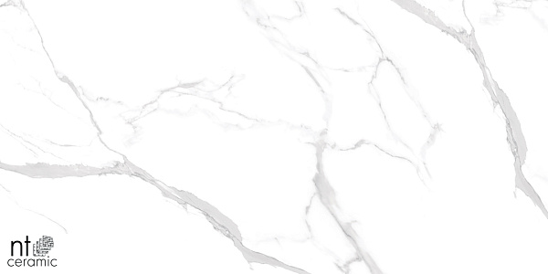 Керамогранит NT Ceramic Marmo Statuario Ultra White 60x120