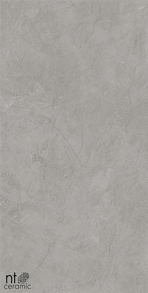 Керамогранит NT Ceramic Granite Obelisk Grey 60x120