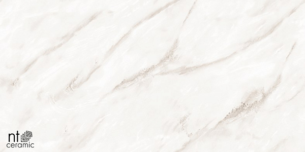 Керамогранит NT Ceramic Marmo Empire Pearl Endless 60x120
