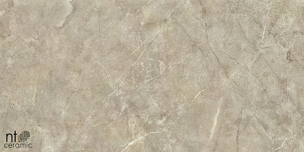 Керамогранит NT Ceramic Quarta Grey NTT9021 60x60