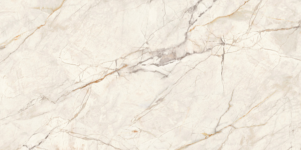 Керамогранит LCM Wonderfull полированный 60x120