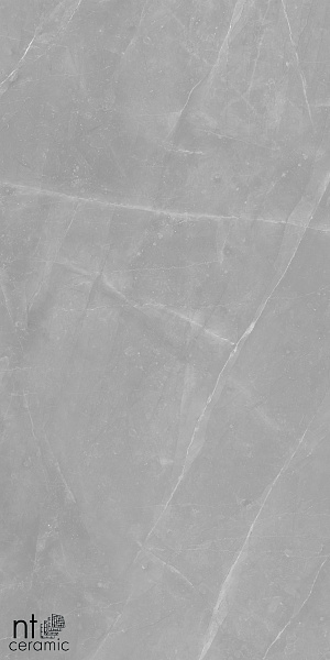 Керамогранит NT Ceramic Granite Limestone Grey Structura 60x120