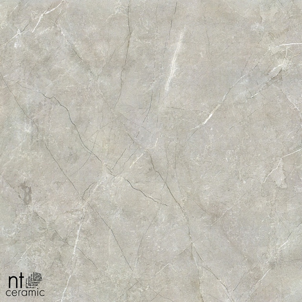 Керамогранит NT Ceramic Quarta Grey NTT9022 60x60