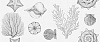 Плитка Gracia Ceramica Aqua white wall 01 250x600