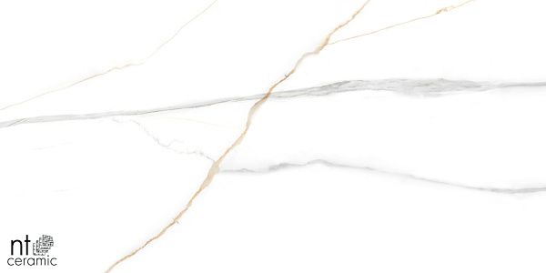 Керамогранит NT Ceramic Marmo Maritaca Statuario Ultra White 60x120
