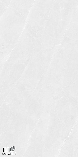 Керамогранит NT Ceramic Granite Limestone White Structura 60x120