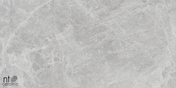 Керамогранит NT Ceramic Bright and Shiny Tundra Pearl matt 60x120