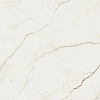 Керамогранит Atlas Concorde Forte Dei Marmi Quark Sahara Blanc matt 120x120