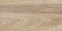 Плитка Alma Ceramica Euphoria TWU2550EPH40 матовая 249x500