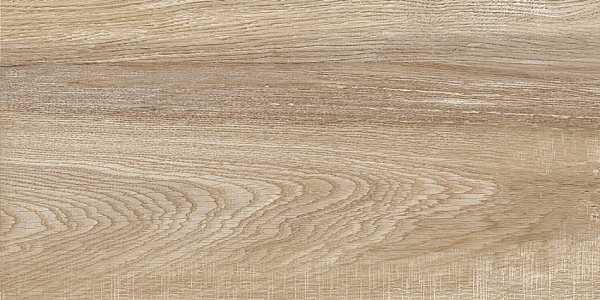 Плитка Alma Ceramica Euphoria TWU2550EPH40 матовая 249x500