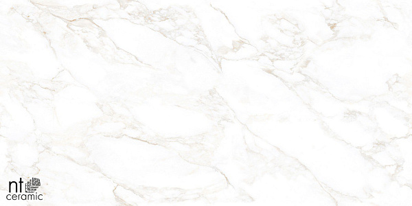 Керамогранит NT Ceramic Marmo Marble Extra Endless 60x120