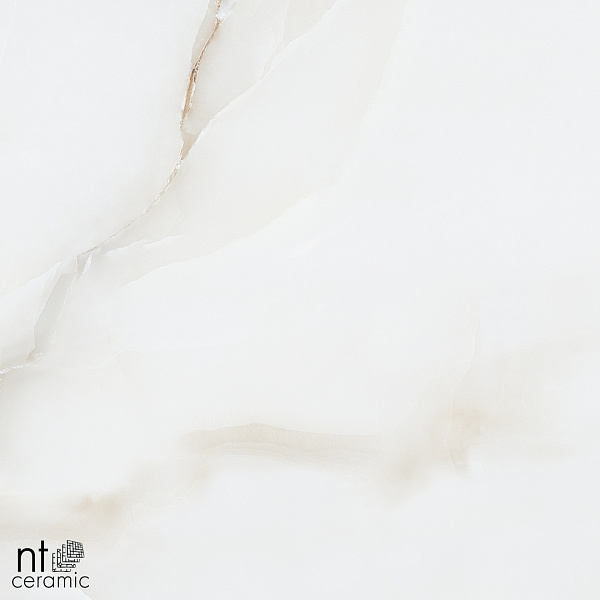 Керамогранит NT Ceramic Onyx Majestic 60x60