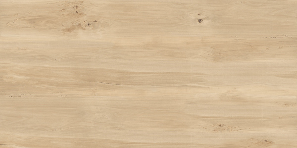 Керамогранит Buono Ceramica Forest Sweet Home matt 60x120