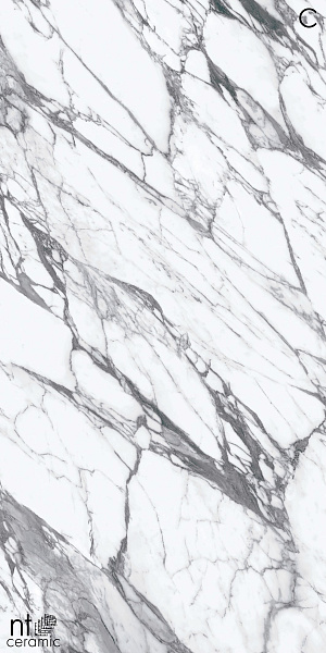 Керамогранит NT Ceramic Atlas Home Calaсatta Rock 120x270