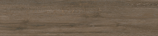 Керамогранит Alma Ceramica Grandwood GFA2090GRW44R матовый 20x90
