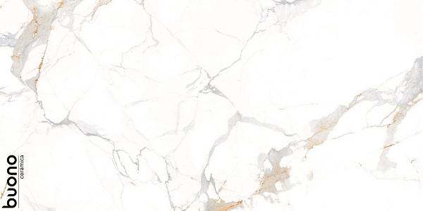 Керамогранит Buono Ceramica Marble Аletta glossy 60x120