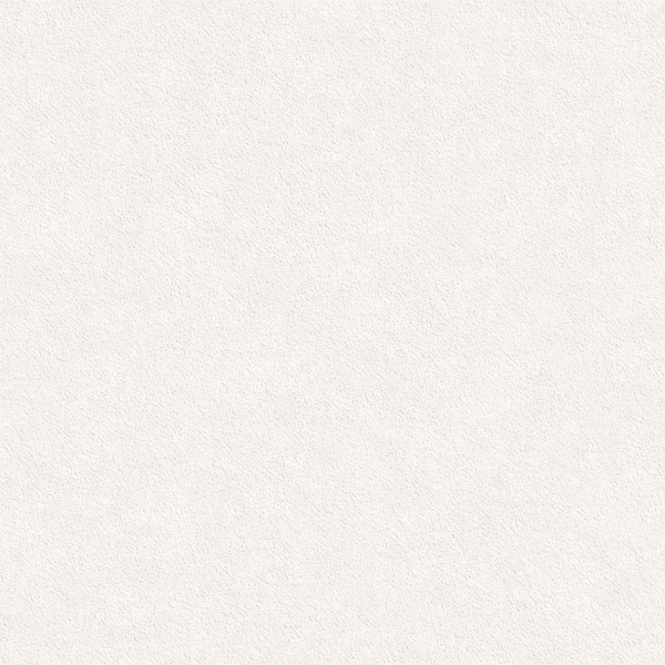 Керамогранит LCM Nevel White / Невел белый матовый 60x60