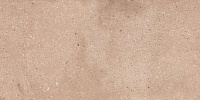 Керамогранит NT Ceramic Rockstar Delhi matt 60x120