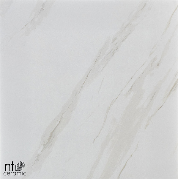 Керамогранит NT Ceramic Marmori NTT9401 60x60
