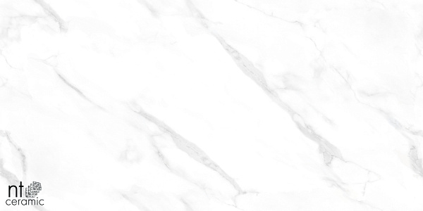 Керамогранит NT Ceramic Marmo Statuario Endless 60x120