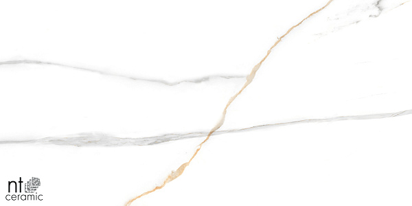 Керамогранит NT Ceramic Marmo Maritaca Statuario Ultra White 60x120